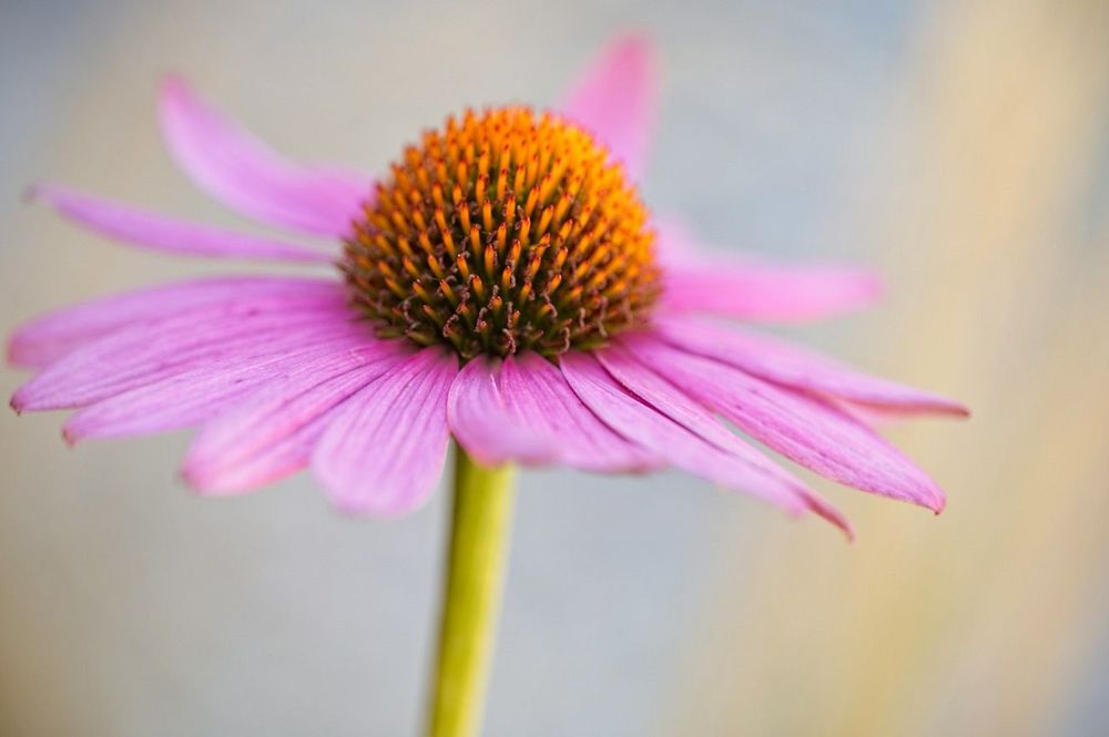 Horoscope du jeudi 18 septembre 2025 : voici ce que les astres vous réservent aujourd'hui | So Busy Girls