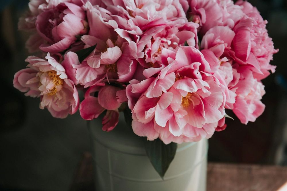 Horoscope du 26 mai 2025 : voici ce que les astres vous réservent aujourd’hui | So Busy Girls