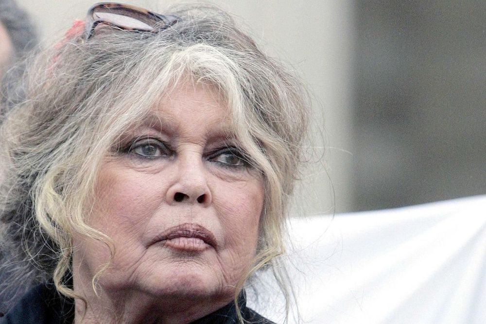 Pourquoi l’hospitalisation de Brigitte Bardot a pris une telle ampleur | So Busy Girls