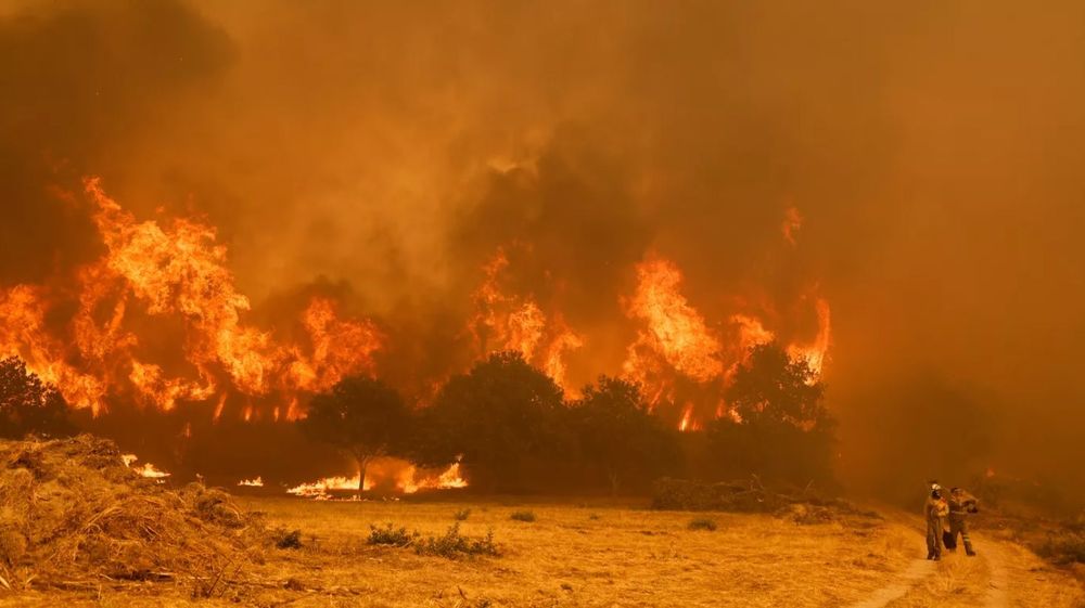 Incendies en Espagne : 343 000 hectares détruits, un triste record historique | So Busy Girls