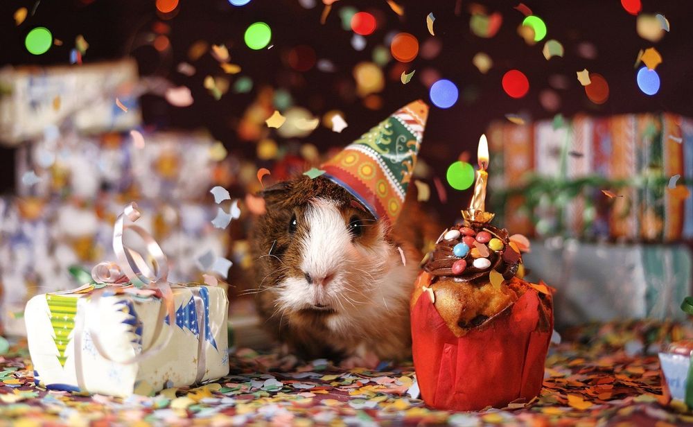 4 conseils pour préparer une fête d'anniversaire à la maison sans stress | So Busy Girls