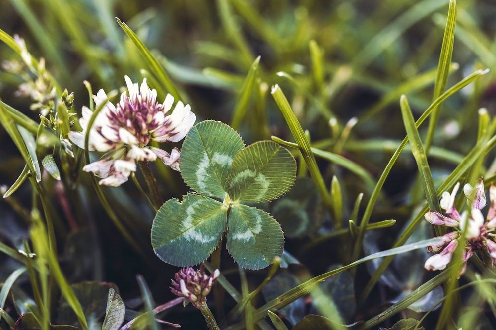 10 choses que les personnes superstitieuses font un vendredi 13 | So Busy Girls