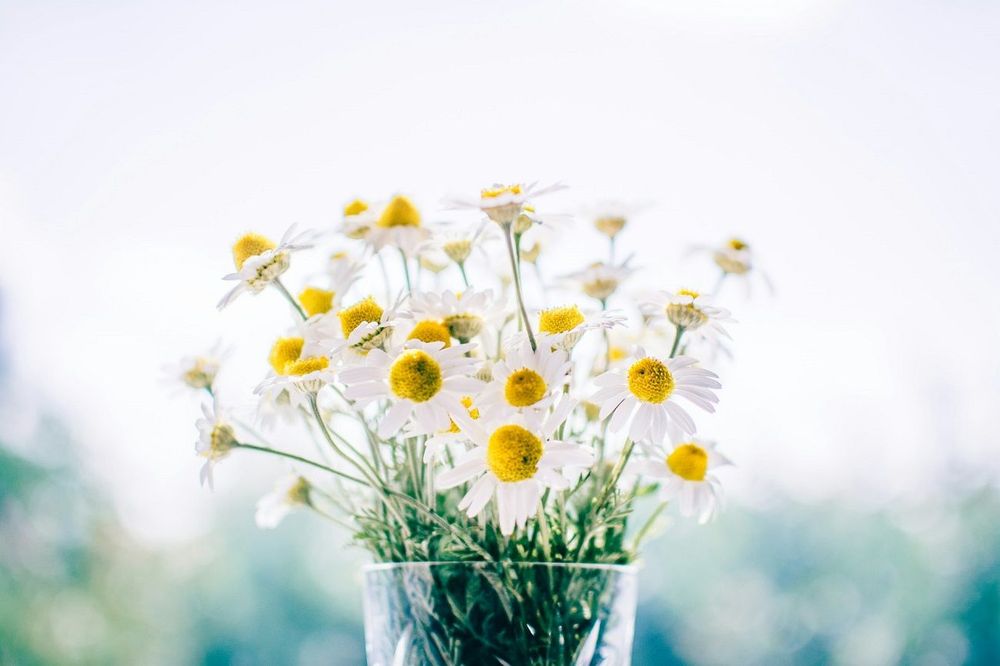 Horoscope dimanche 2 novembre 2025 pour chaque signe astrologique aujourd’hui | So Busy Girls