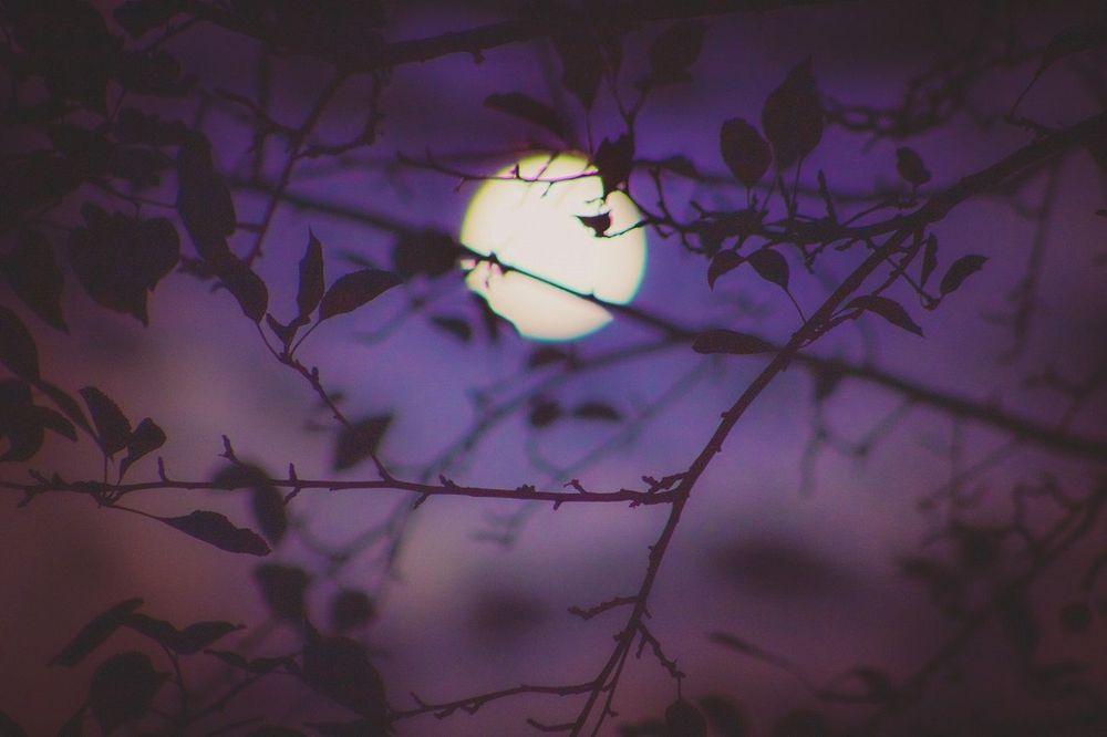 Pleine lune du 5 décembre : pourquoi elle sera très bénéfique à ces 3 signes | So Busy Girls
