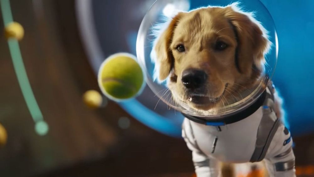 OpenAI dévoile Sora2 : un générateur de vidéos ultra réalistes qui fascine mais crée déjà la polémique | So Busy Girls