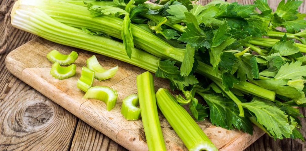 Tous les bienfaits du céleri et 7 idées recettes pour en manger plus souvent | So Busy Girls