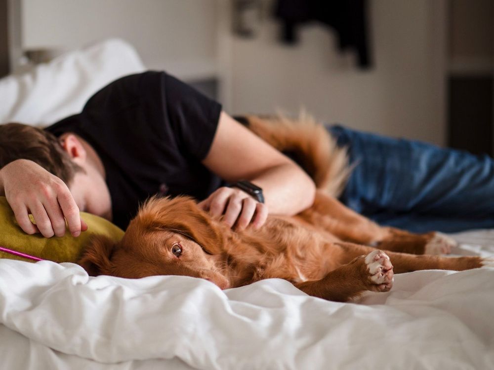 10 façons dont nos animaux de compagnie nous aident à mieux dormir | So Busy Girls