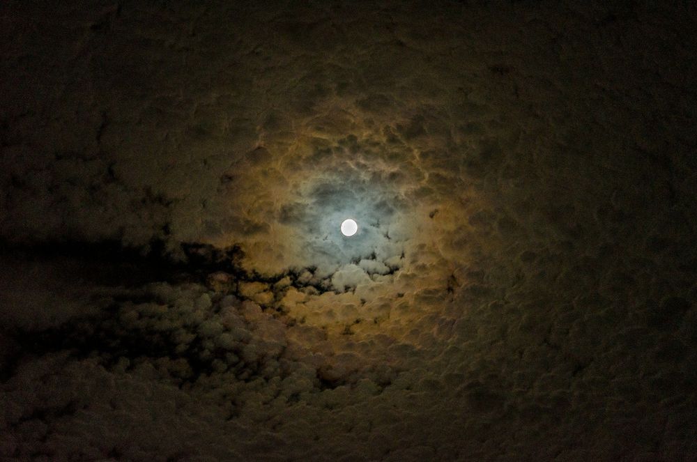 Pleine Lune du 5 décembre : trois signes prêts à briser un schéma répétitif | So Busy Girls
