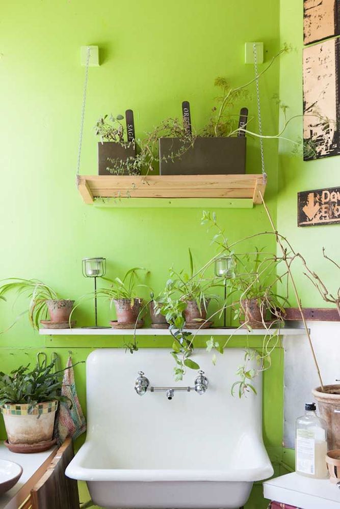 Cette jeune femme a planté plus de 500 plantes dans son appartement new-yorkais et l'a transformé en vrai jungle d'intérieur | So Busy Girls