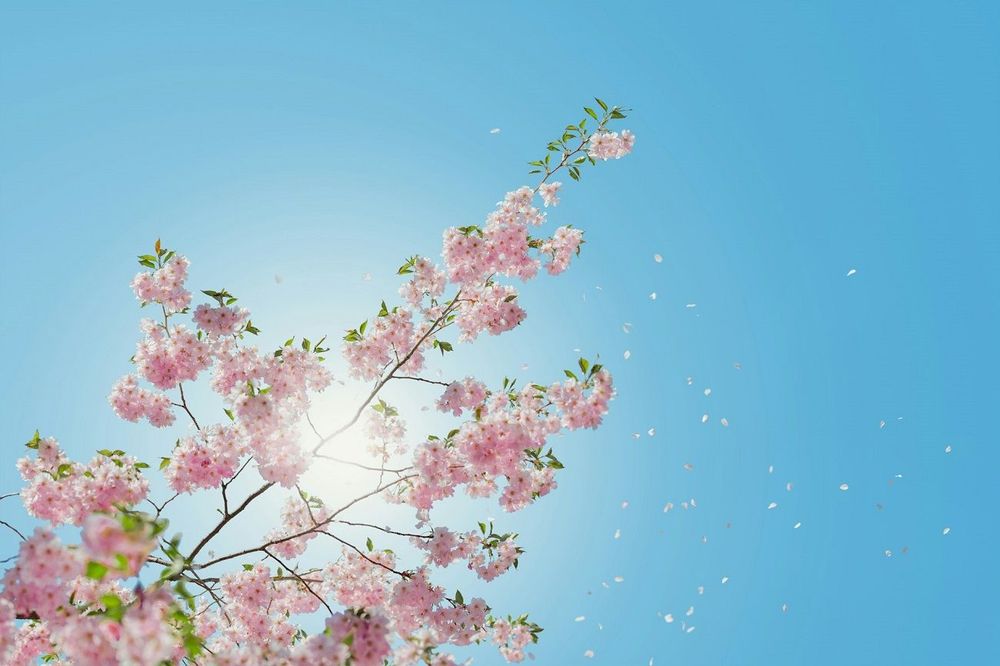 Comment profiter du lever du soleil printanier pour une journée réussie | So Busy Girls