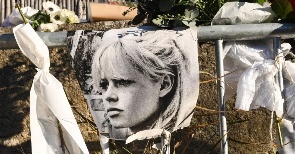 À Saint-Tropez, ce détail très encadré autour des obsèques de Brigitte Bardot attire l’attention | So Busy Girls