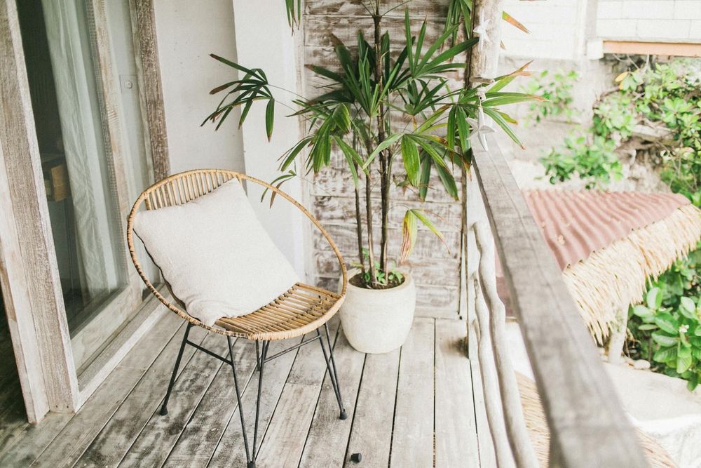 Voici la plante idéale pour résister aux fortes chaleurs cet été | So Busy Girls