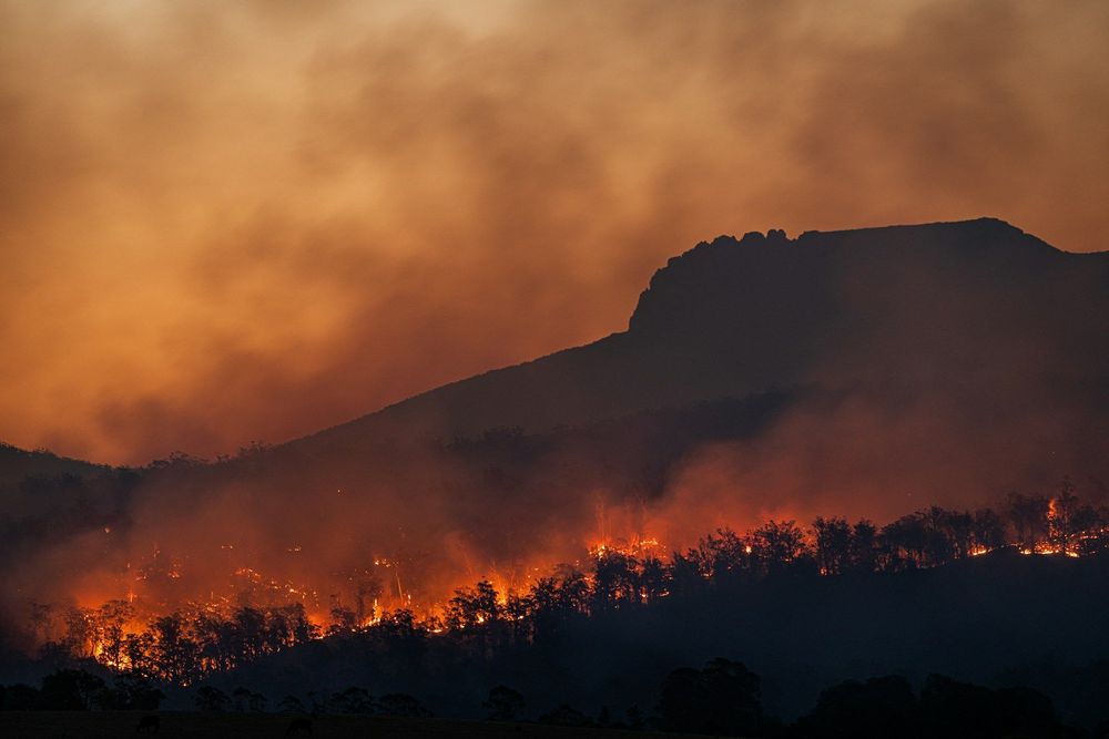Incendies : 4 départements en vigilance rouge face à un risque très élevé de feux de forêt | So Busy Girls