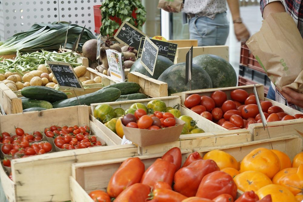 Marché local en vacances : comment bien acheter sans remplir le réfrigérateur inutilement | So Busy Girls