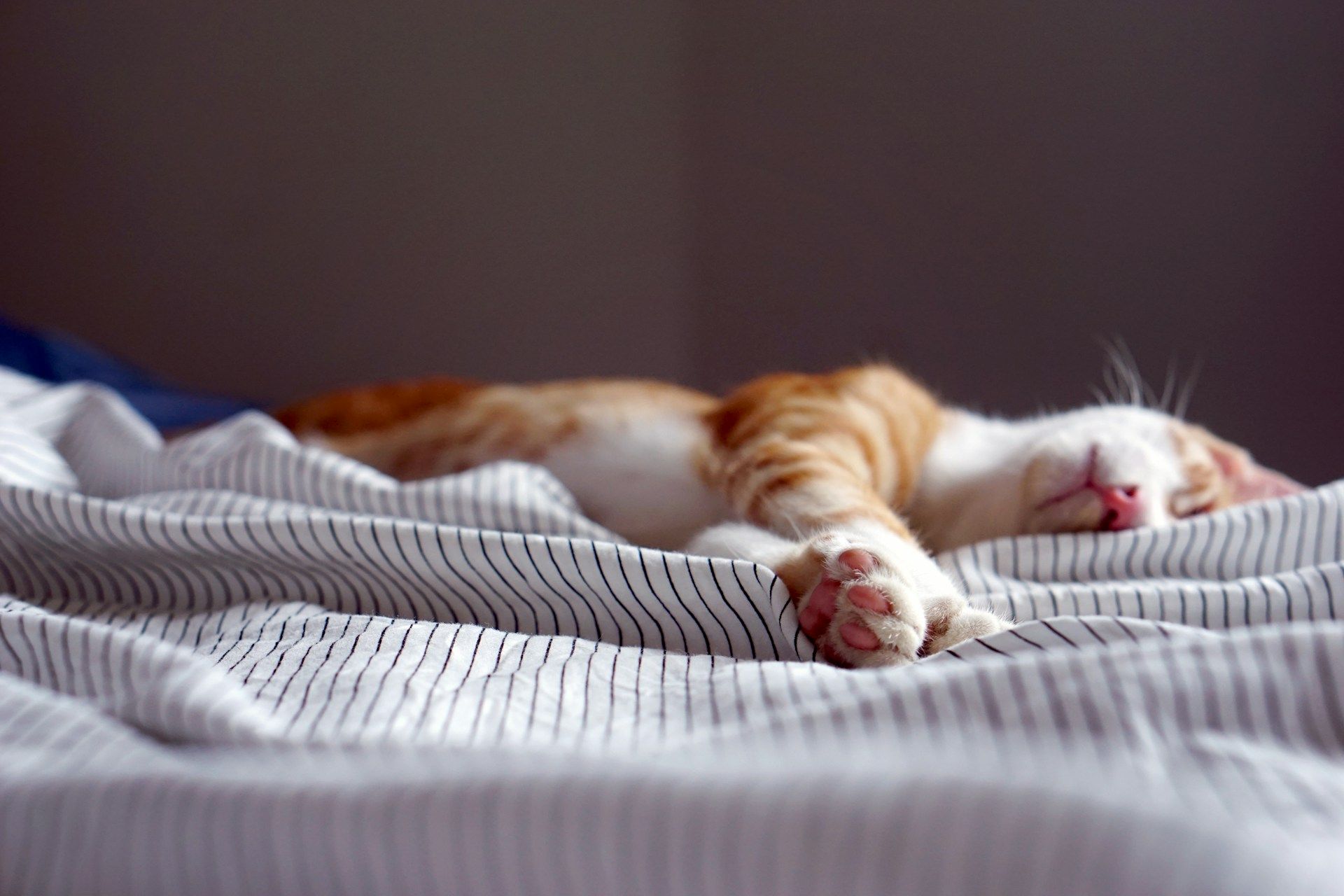 Routine du soir pour bien dormir.