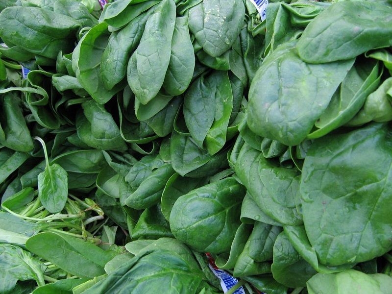 legumes-verts_1