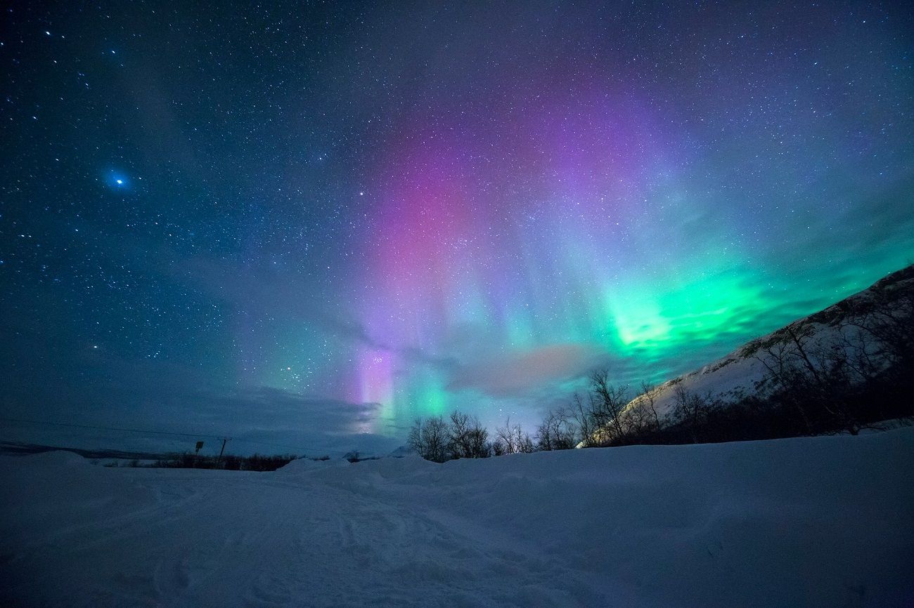 États-Unis : des aurores boréales spectaculaires illuminent le nord du pays