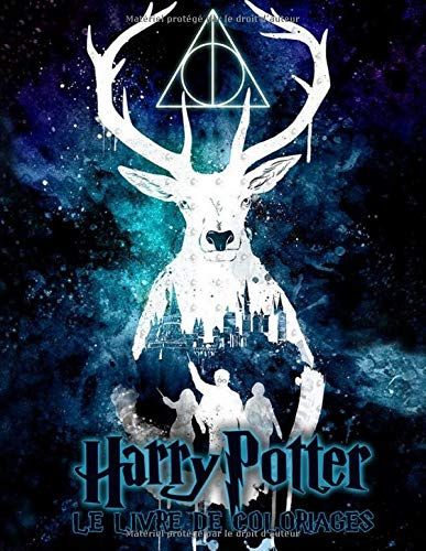 livre-coloriages-harry-potter-2_1