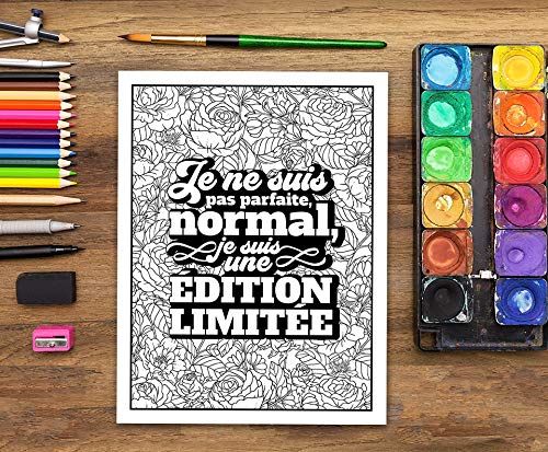 livre-coloriages-je-ne-suis-pas-insolent-je-dis-juste-ce-que-tout-le-monde-pense-2