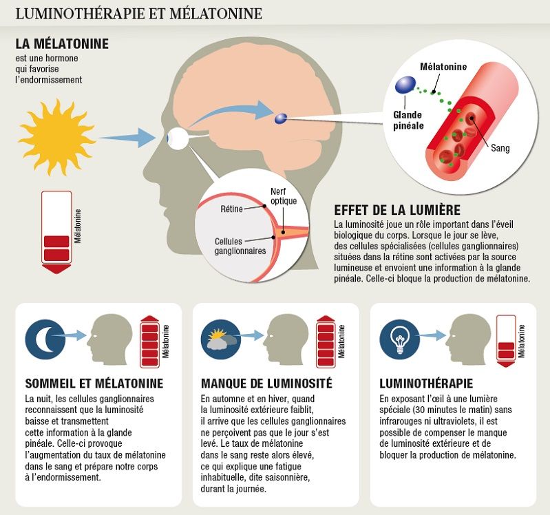 luminotherapie-schema