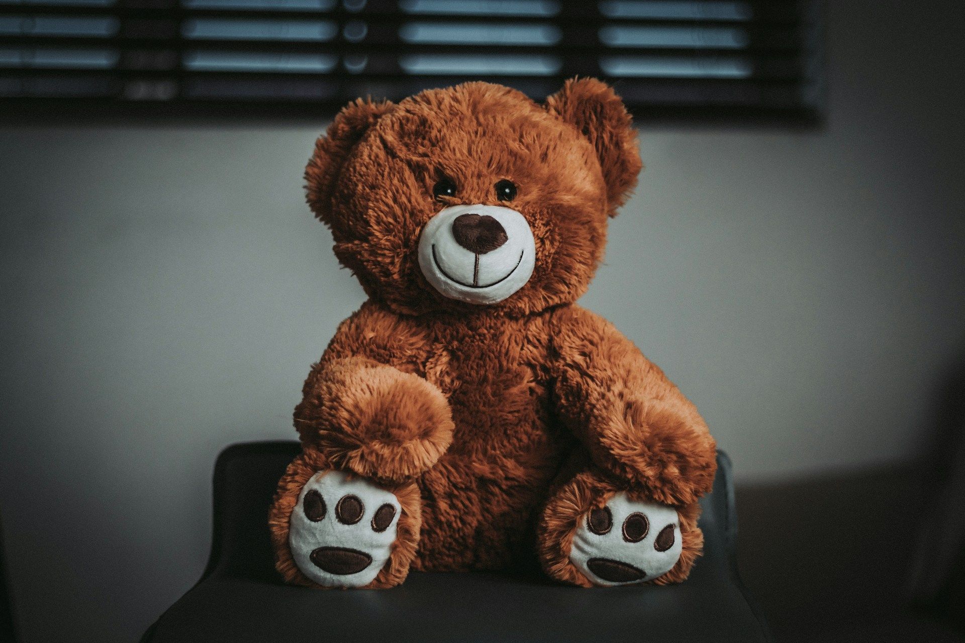 Pourquoi ce maire décide de retourner à l’école avec un doudou pour dénoncer une fermeture de classe dans les Alpes-Maritimes