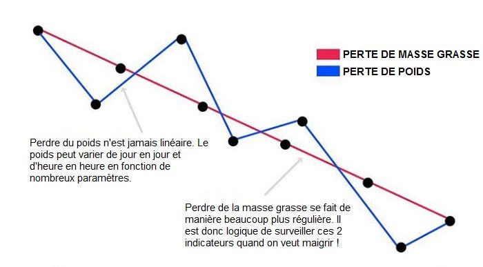 maigrir-poids-masse-grasse