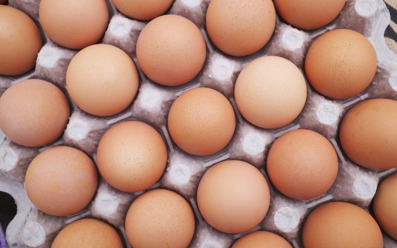 Manger un oeuf par jour : les bienfaits sur le corps