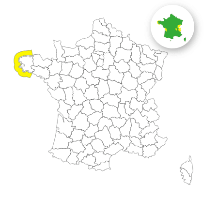 Vagues-submersion : voici le d&eacute;partement plac&eacute; en vigilance jaune ce mardi 4 novembre 2025