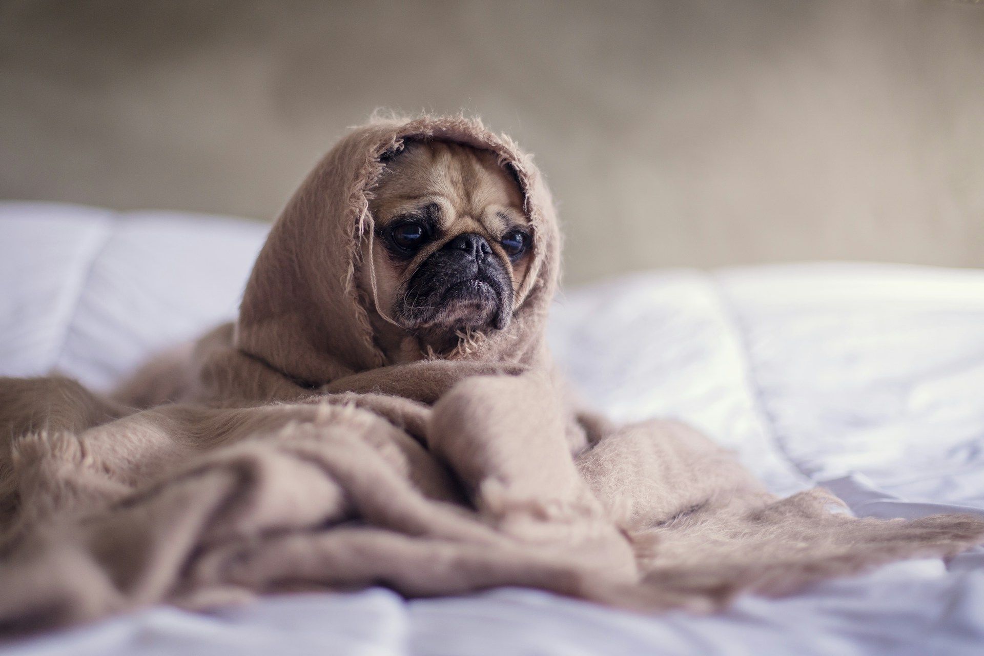 Comment être de bonne humeur le lundi matin ?