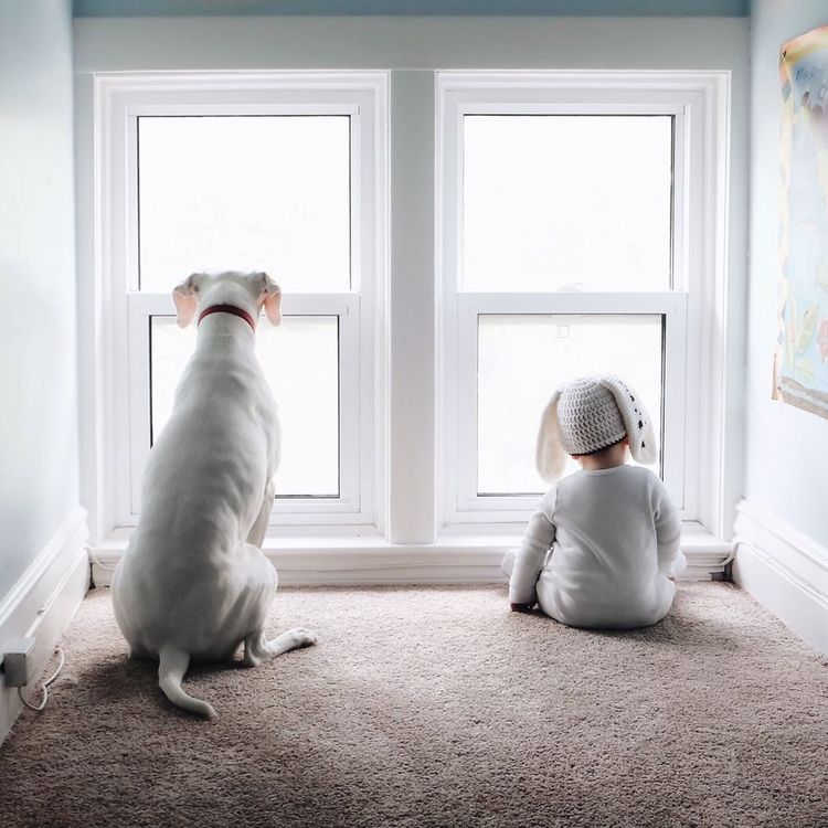 Ce bébé de 8 mois et cette chienne adorent faire la sieste ensemble... et ils sont trop mignons ! | So Busy Girls