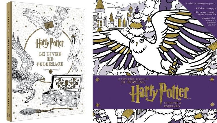 9 livres de coloriages Harry Potter pour passer des soirées magiques | So Busy Girls