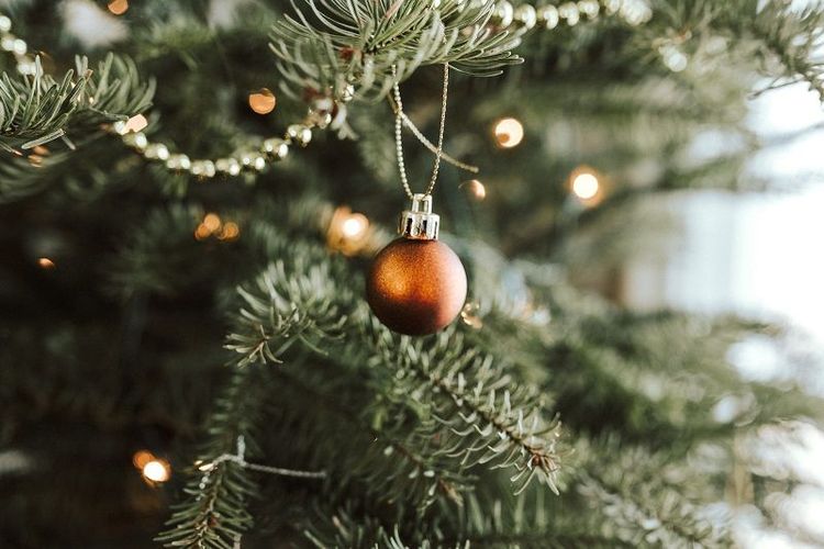 Pourquoi votre moral grimpe dès que vous installez votre sapin (et pourquoi il ne faut pas attendre décembre) | So Busy Girls