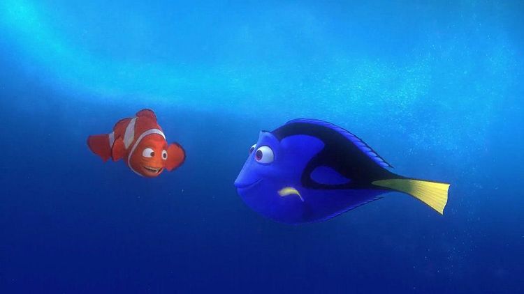 LE MONDE DE NEMO | So Busy Girls