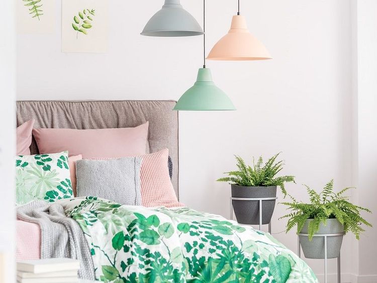 Les 5 meilleures plantes à mettre dans sa chambre | So Busy Girls