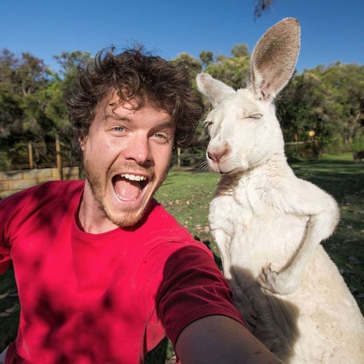L'homme qui prenait des selfies géniaux avec des animaux | So Busy Girls