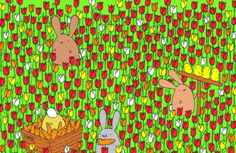 Personne ne trouve l'oeuf de Pâques caché sur cette image et ça rend les gens fous ! | So Busy Girls