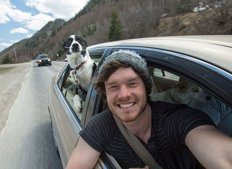 L'homme qui prenait des selfies géniaux avec des animaux | So Busy Girls