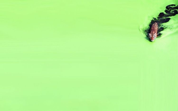 20 photos parfaites qui plairont à tous les minimalistes | So Busy Girls