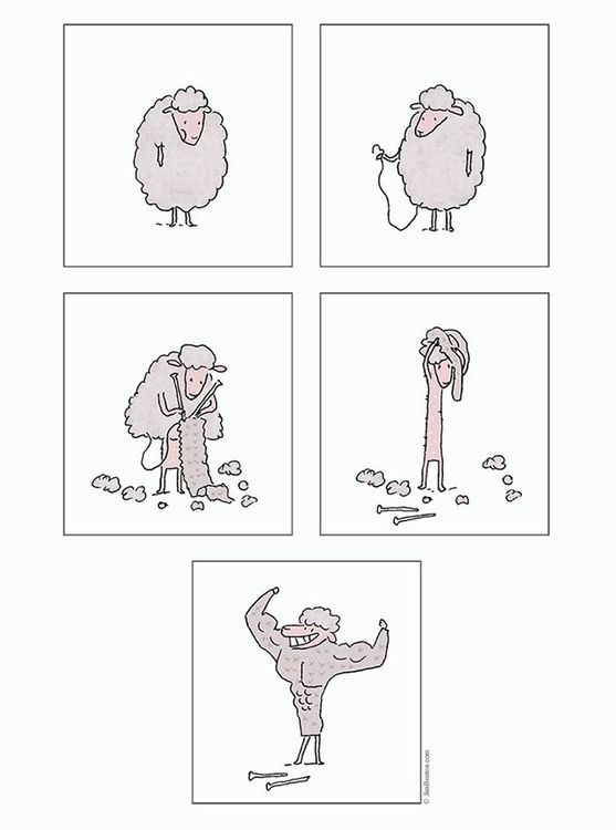 13 bandes dessinées amusantes sur les animaux | So Busy Girls