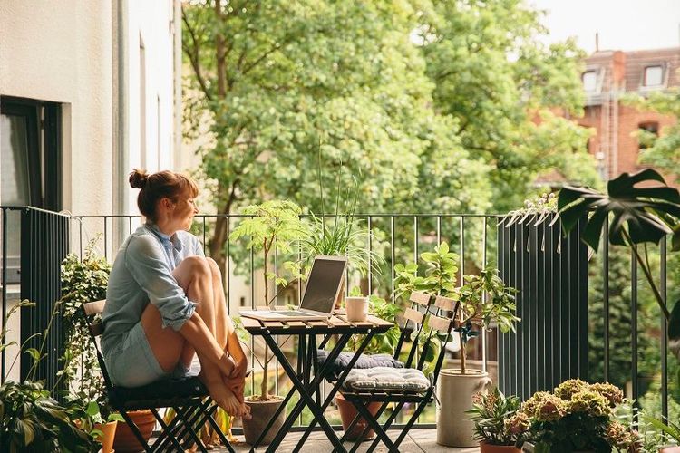Plantes sur le balcon : comment les aider à tenir pendant un week-end très chaud | So Busy Girls