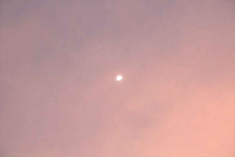 Tout le monde s’attend à une lune rose : pourquoi la réalité est complètement différente | So Busy Girls