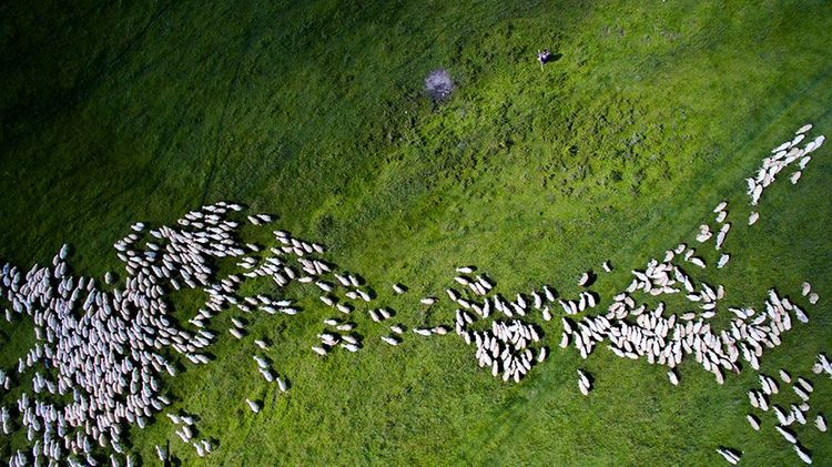 Les 15 plus belles photos prises depuis un drone | So Busy Girls