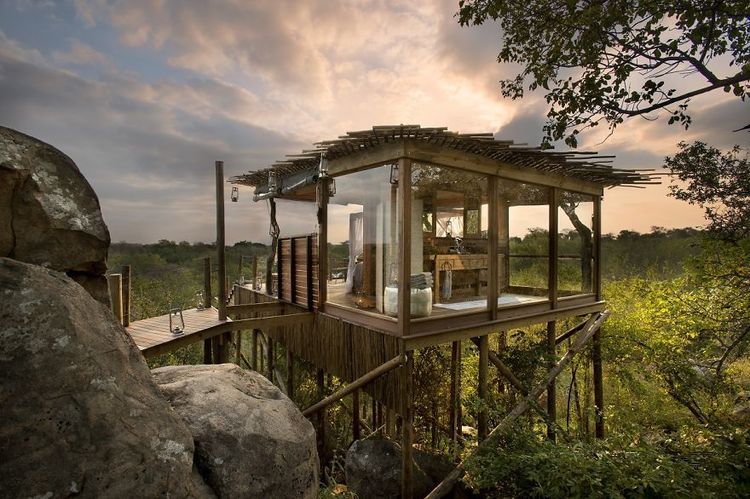 La cabane royale dans les arbres en Afrique du Sud | So Busy Girls