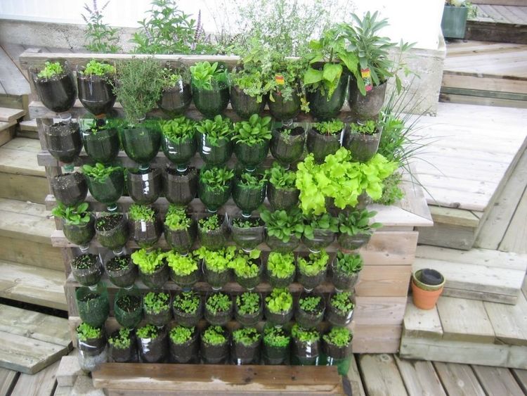 Créer un jardin vertical | So Busy Girls