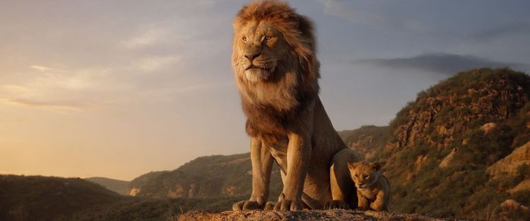 Pourquoi vous devez absolument aller voir le film Le Roi Lion au ciné | So Busy Girls