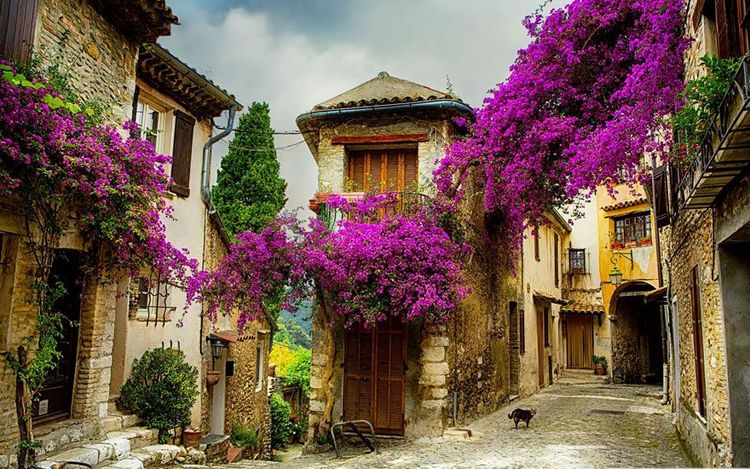 Hauts de Cagnes en Provence, France | So Busy Girls