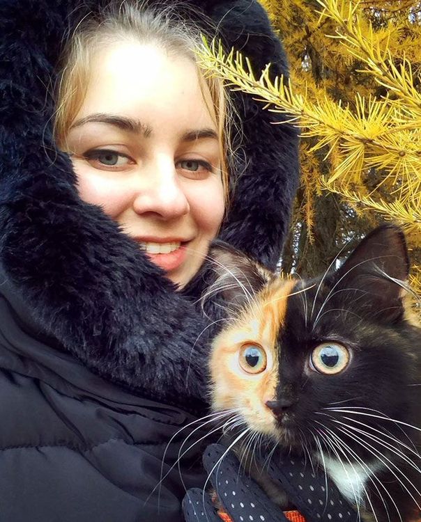 Voici Yana, l'adorable chatte aux deux visages qui va vous faire craquer ! | So Busy Girls