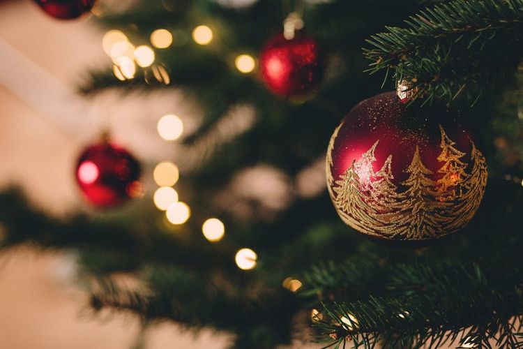 Voici le meilleur moment pour acheter un sapin de Noël | So Busy Girls
