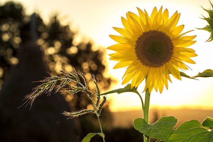 15 activités parfaites pour profiter d'un week-end ensoleillé | So Busy Girls