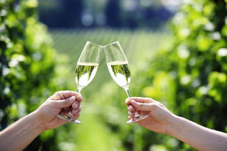 Le prosecco est désormais inscrit au Patrimoine mondial de l'Unesco (et ça donne envie de prendre l'apéro) | So Busy Girls